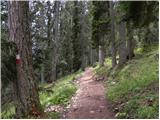 Passo Tre Croci - Sella di Punta Nera